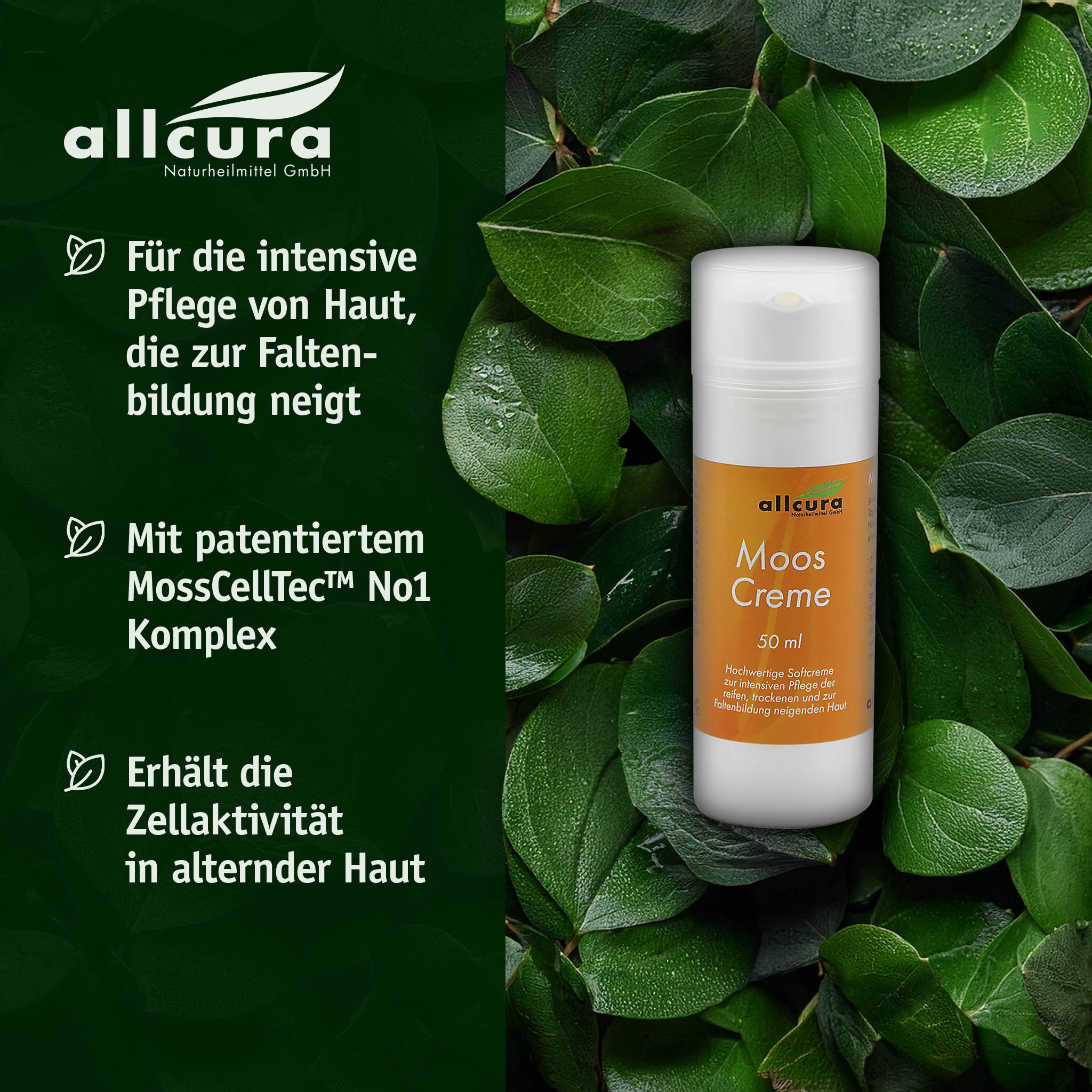 allcura Naturheilmittel MOOS Creme mit MossCellTec No.1