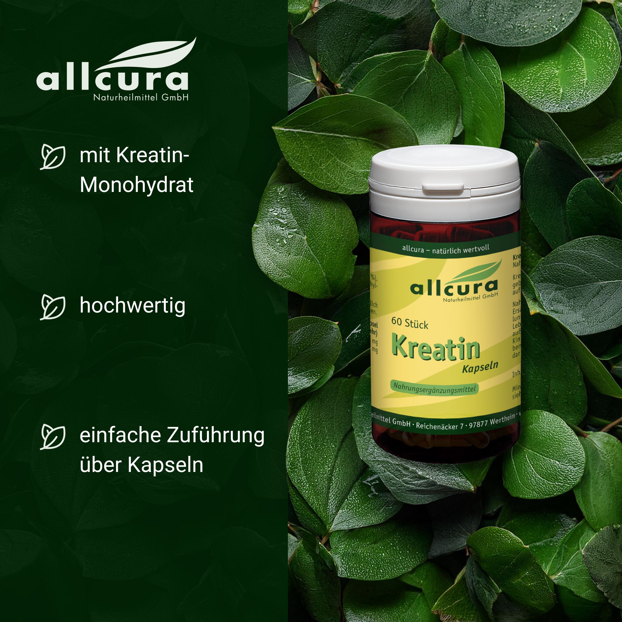 Kreatin Kapseln 60 Stück