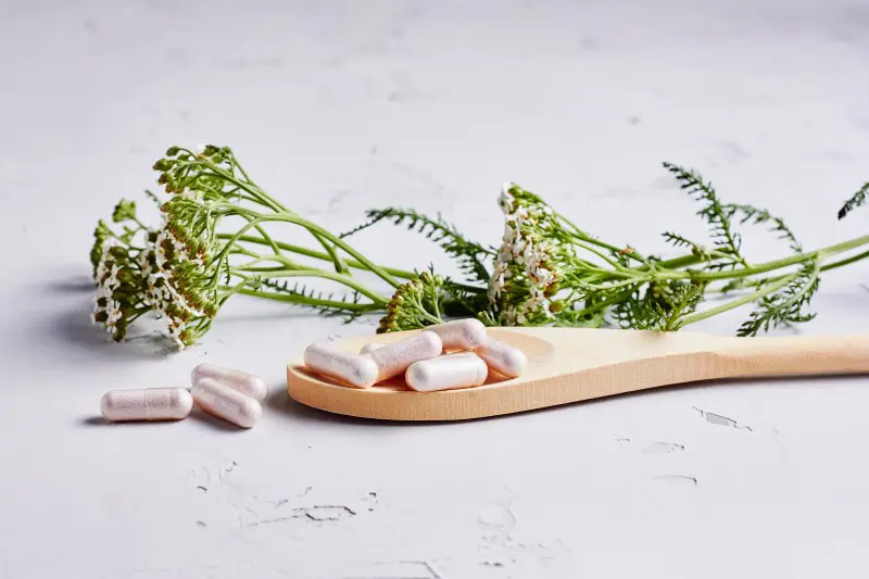 Vitamine, Enzyme und Aminosäuren