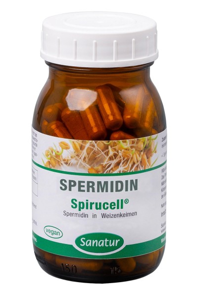 Spermidin Kapseln