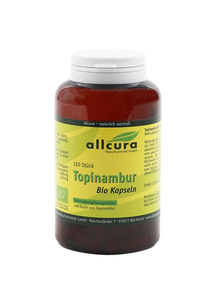 Topinambur Bio Kps. 120 St.